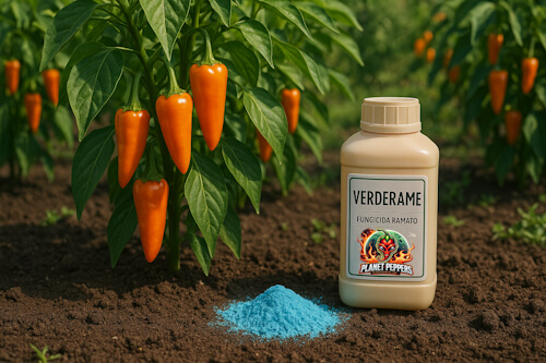 Planet Peppers - Peperoncini e ramato Peperoncini e ramato